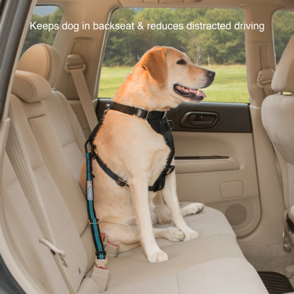 Kurgo Direct to Seatbelt Tether - Blue (Special Order)