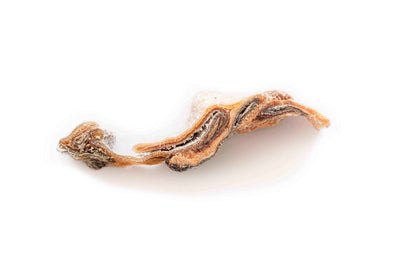 Topflite Hound Salmon Skins