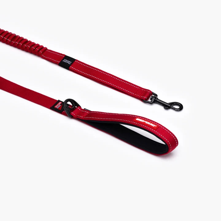 EzyDog Zero Shock Leash