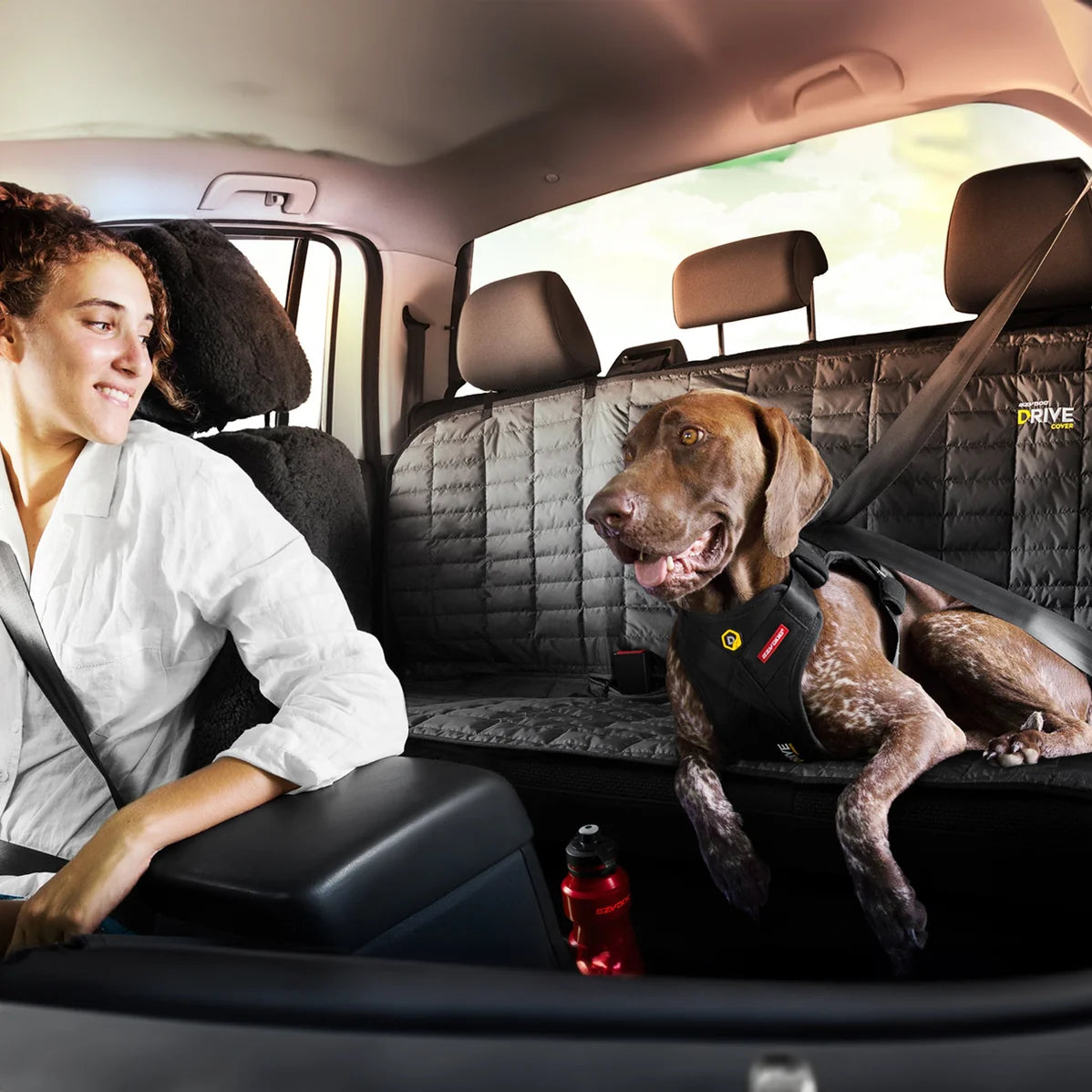 EzyDog DRIVE Car Seat Cover lifestyle image
