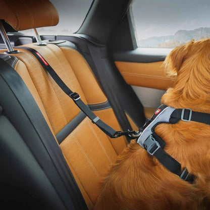 EzyDog Car Click ISOFIX Cargo Seat Belt Attachment