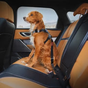 EzyDog Car Click ISOFIX Cargo Seat Belt Attachment
