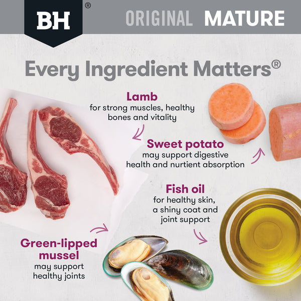 Black Hawk Original Mature Adult Lamb & Rice