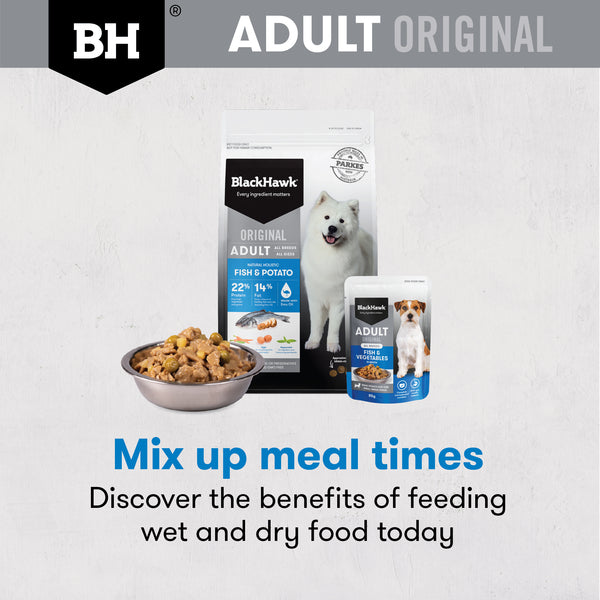 Black Hawk Adult Fish & Potato