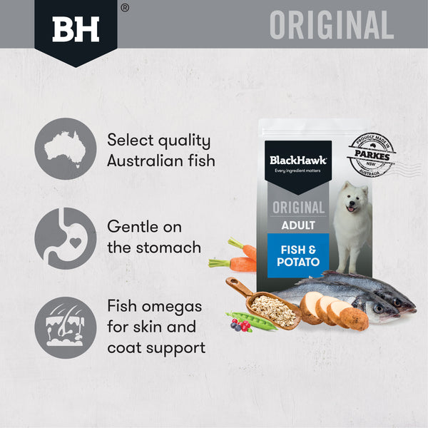 Black Hawk Adult Fish & Potato