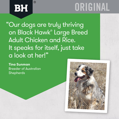 Black Hawk Large Breed Chicken & Rice