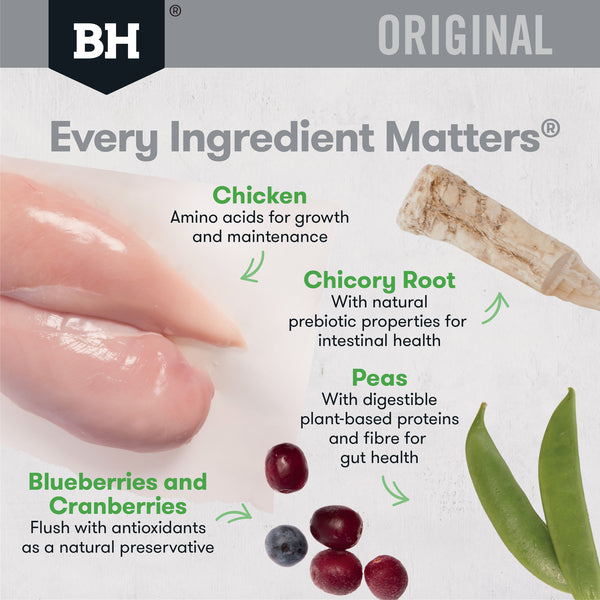 Black Hawk Large Breed Chicken & Rice