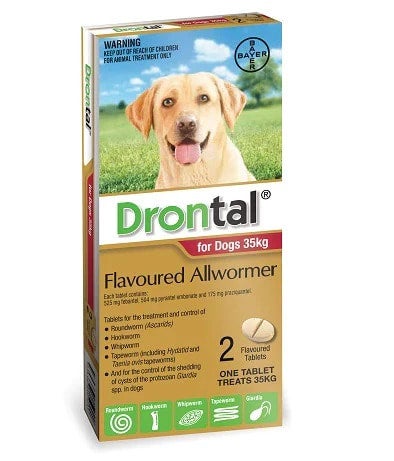 Drontal AllWormer Dog Tablets for Dogs 35kg - Doubtless Bay Pet Resort 
