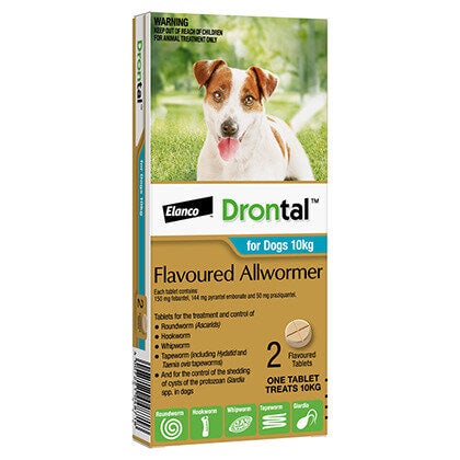 Drontal AllWormer Dog Tablets for Dogs 10kg - Doubtless Bay Pet Resort 