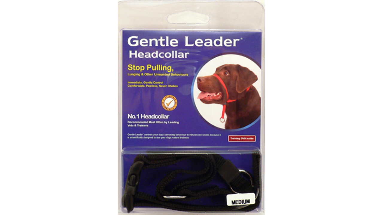 Gentle Leader - Head Collar - Black - Doubtless Bay Pet Resort 