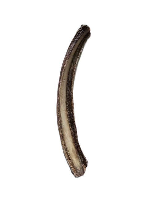 Venison Rib - Doubtless Bay Pet Resort 