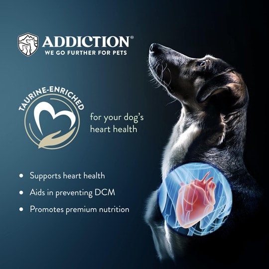 Addiction Zen Vegetarian (Dog) - Doubtless Bay Pet Resort 