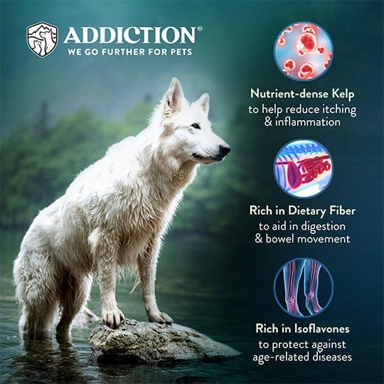 Addiction Zen Vegetarian (Dog) - Doubtless Bay Pet Resort 