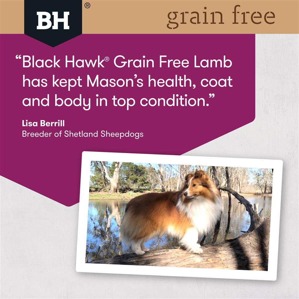 Black Hawk Grain Free Lamb - Doubtless Bay Pet Resort 