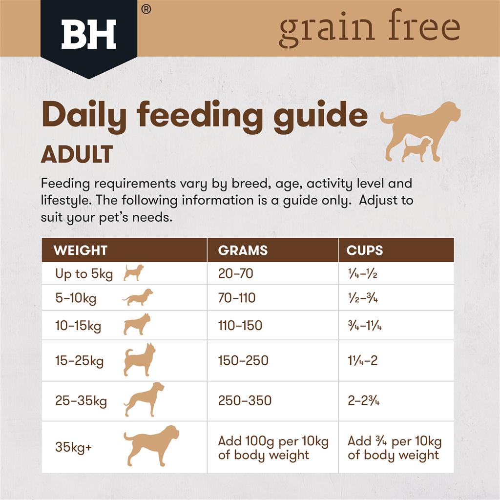 Black Hawk Grain Free Salmon - Doubtless Bay Pet Resort 