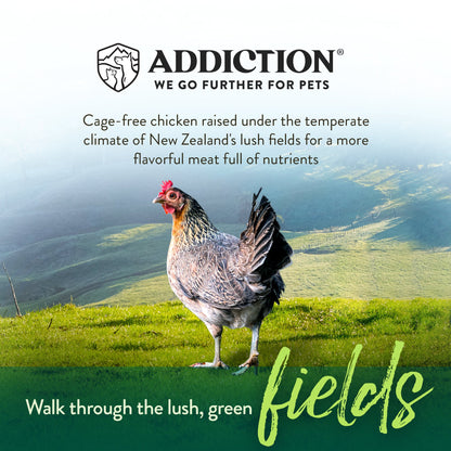Addiction Chicken Meaty Bites, Limited Ingredients, High Meat Content Dog Treats, 113g - Doubtless Bay Pet Resort 