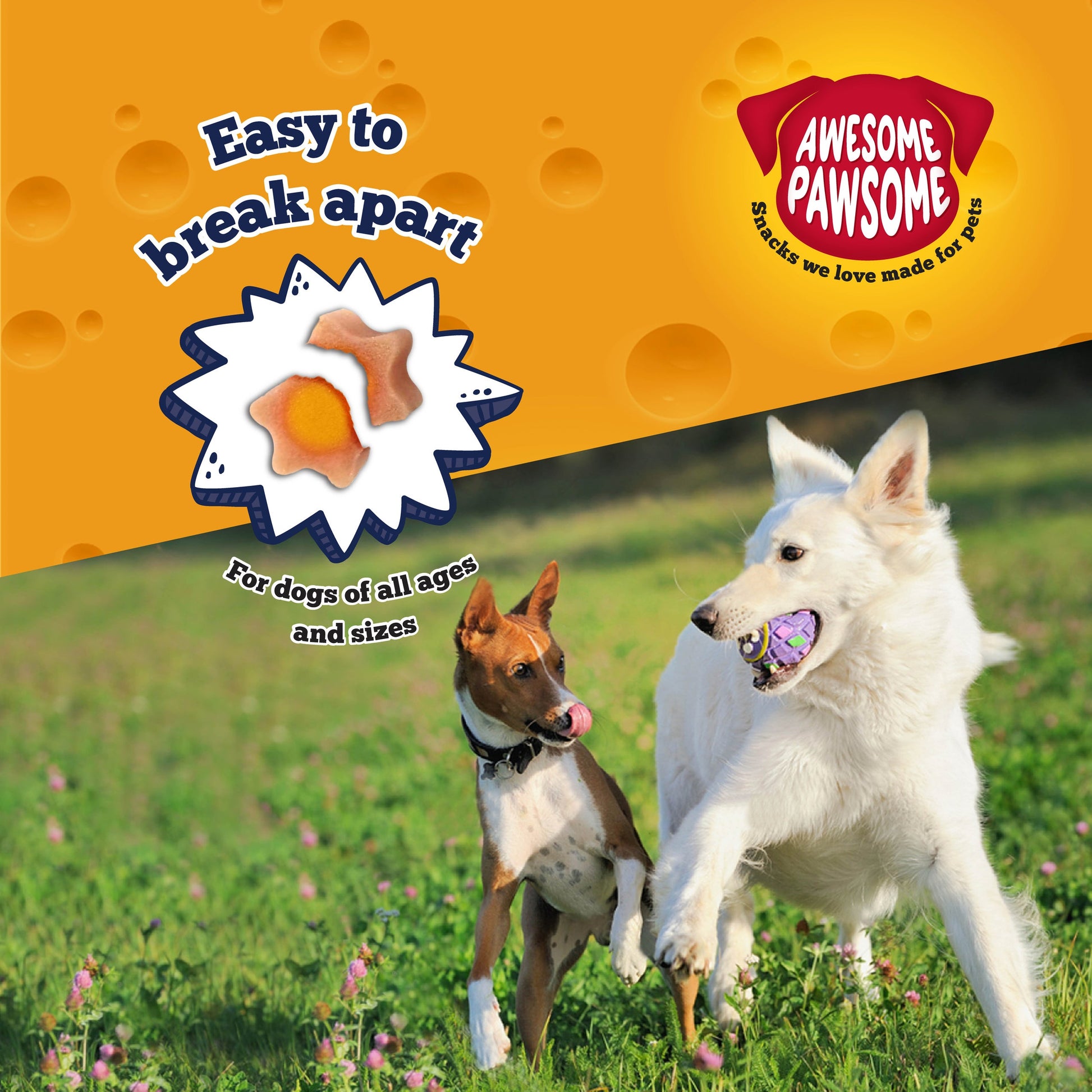 Awesome Pawsome Baconmania Dog Treats, 85g - Doubtless Bay Pet Resort 
