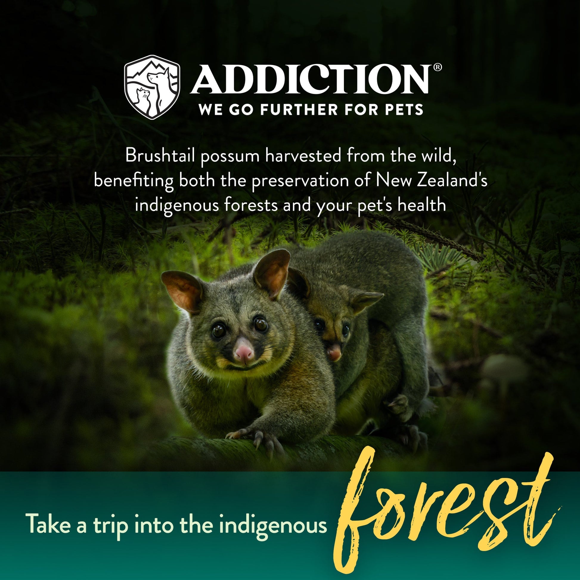 Addiction Wild Brushtail Meaty Bites, Sensitive Care, Novel Protein Dog Treats, 113g - Doubtless Bay Pet Resort 