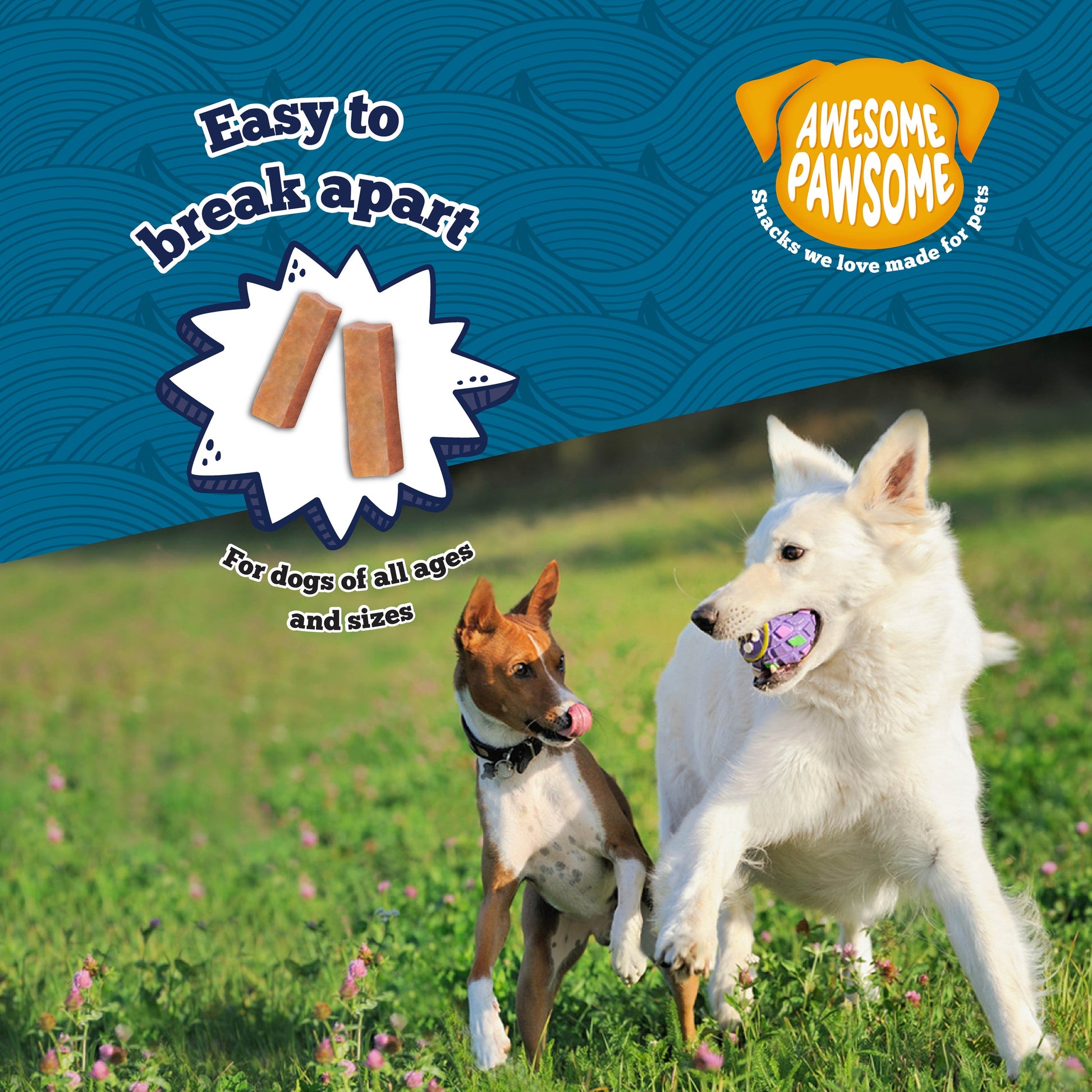 Awesome Pawsome Salmon Supreme Recipe Dog Treats, 85g - Doubtless Bay Pet Resort 