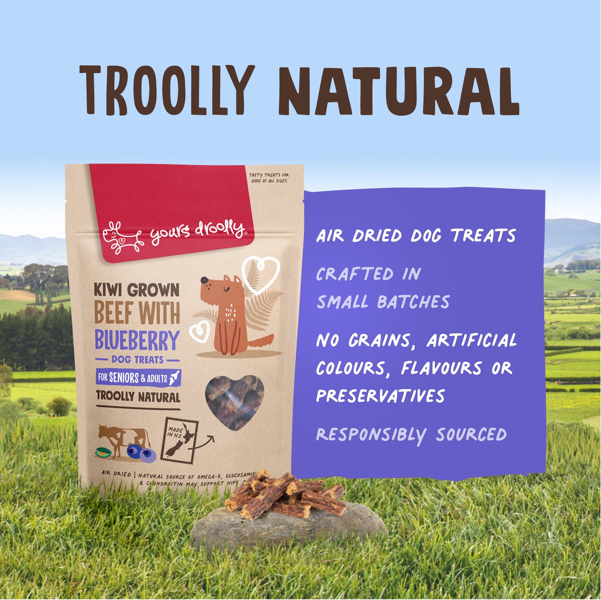 Yours Droolly - Kiwi Grown Beef with Blueberry - NZ Made, 220g - Doubtless Bay Pet Resort 