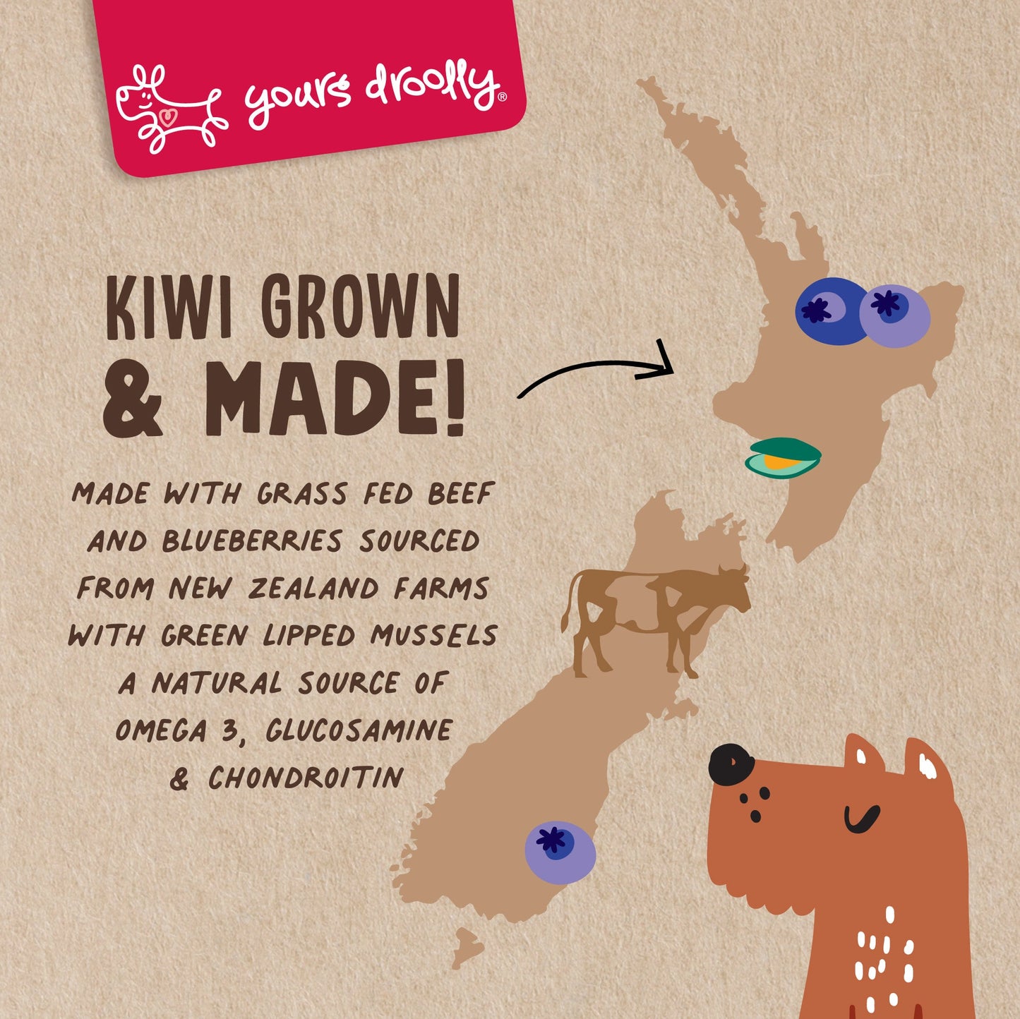 Yours Droolly - Kiwi Grown Beef with Blueberry - NZ Made, 220g - Doubtless Bay Pet Resort 