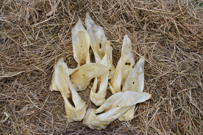 Venison Ear