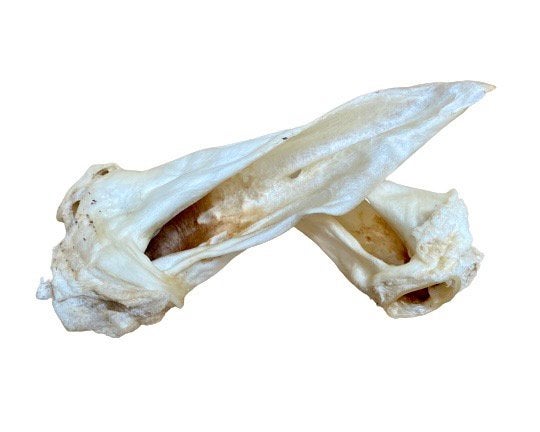 Venison Ear - Doubtless Bay Pet Resort 