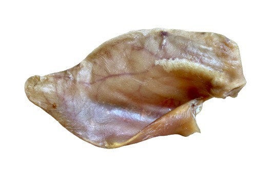 Pig Ear - Doubtless Bay Pet Resort 