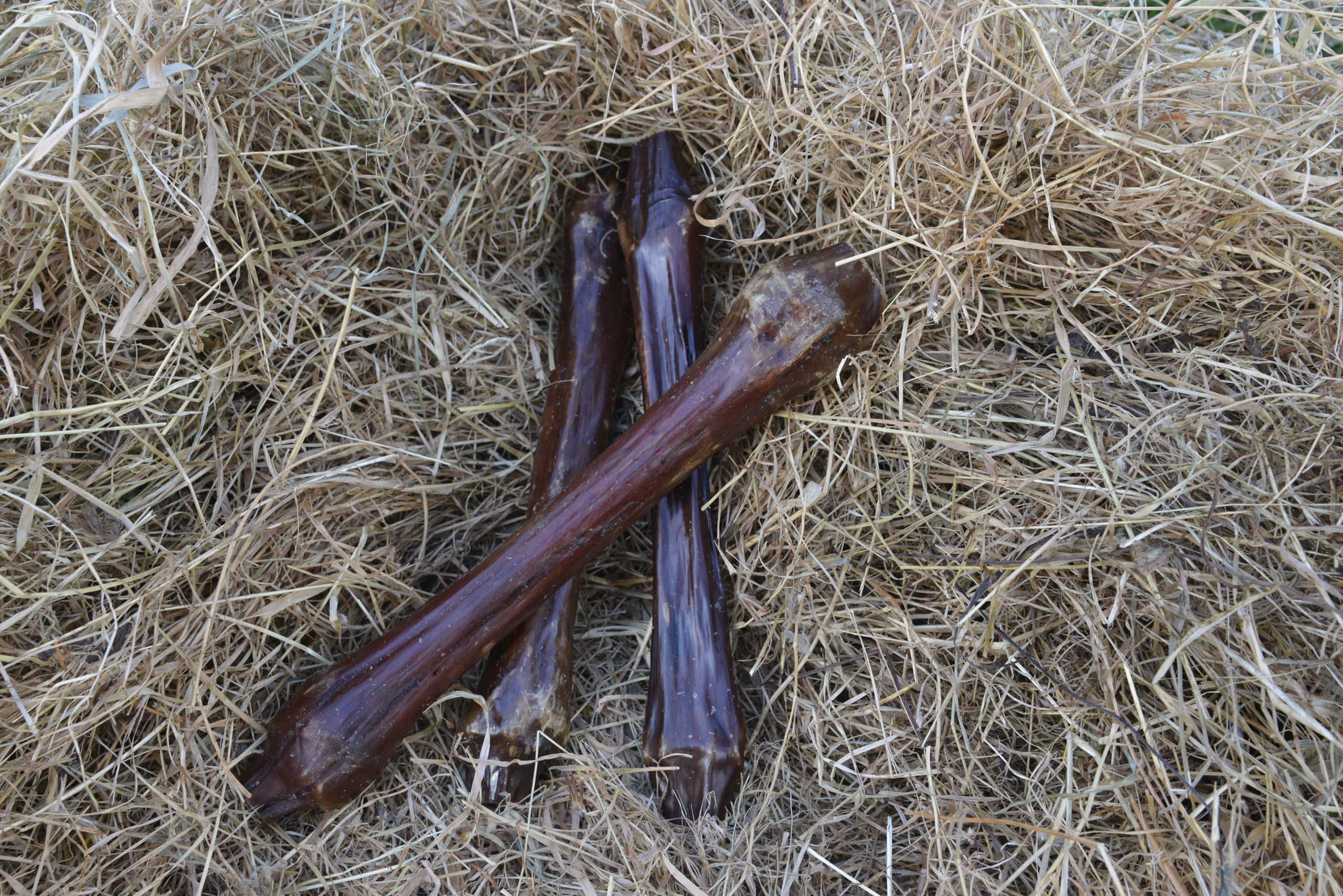 Venison Busy Bone - Doubtless Bay Pet Resort 