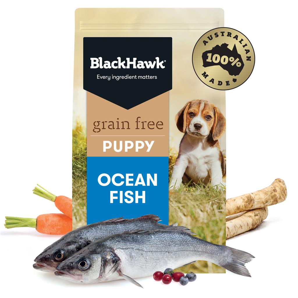 Black Hawk Puppy Grain Free Ocean Fish - Doubtless Bay Pet Resort 