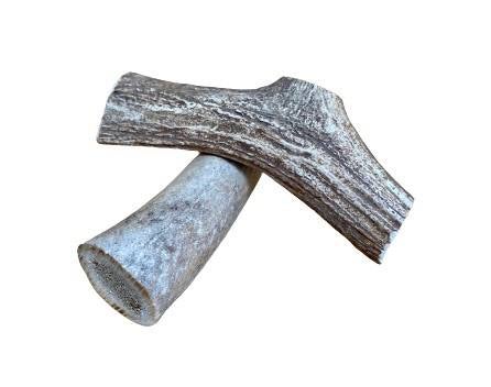 Deer Antler Chew - Medium - Doubtless Bay Pet Resort 