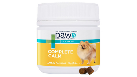 Blackmores PAW Complete Calm Small Dog 75g - Doubtless Bay Pet Resort 