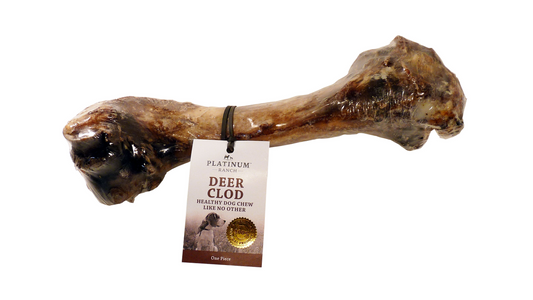 Platinum Ranch Deer Clod Bone - Doubtless Bay Pet Resort 