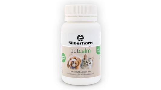 Silberhorn PetCalm - Doubtless Bay Pet Resort 