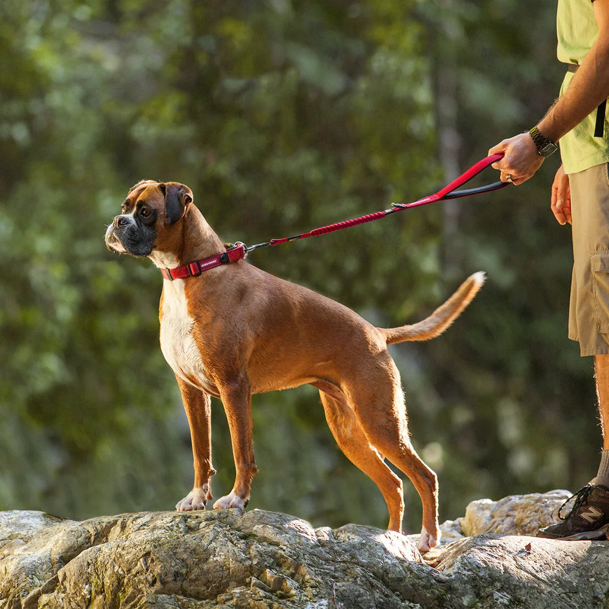 EzyDog Zero Shock Leash