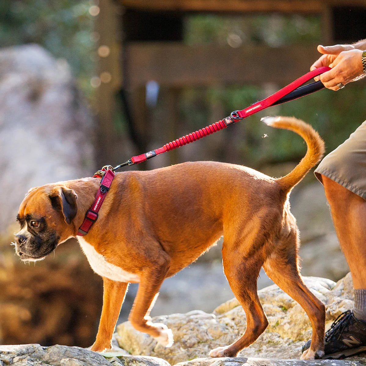 EzyDog Zero Shock Leash