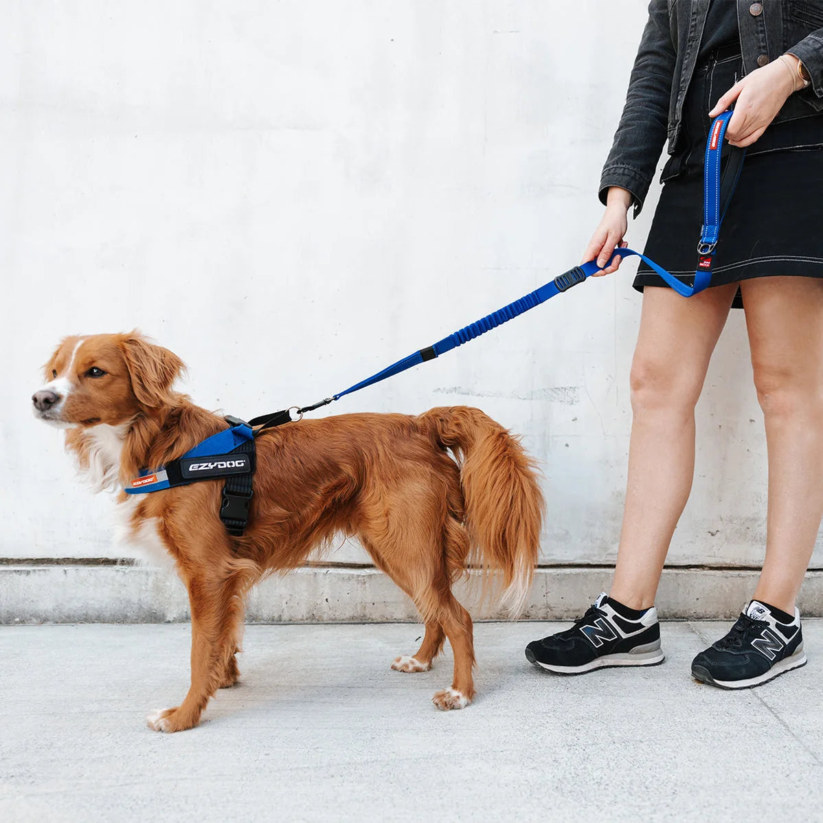EzyDog Zero Shock Leash